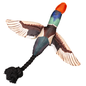 Fly & Fetch Duck American Dog Toys, Fly & Fetch, duck, fly, fetch, spunky pup